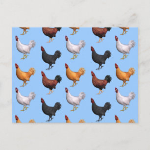 Cartão Postal Bando De Galos