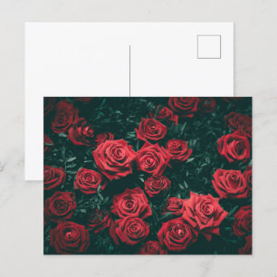 Cartão Postal Bando de rosas vermelhas