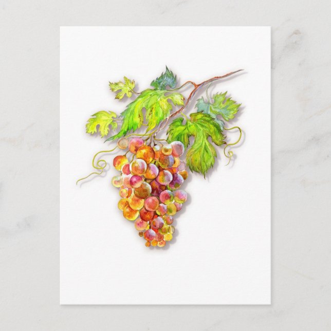 Cartão Postal Bando de uvas (Frente)