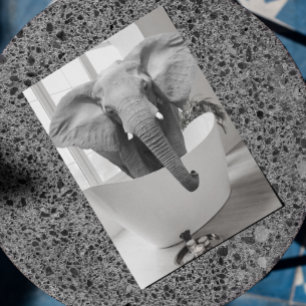 Cartão Postal Banheira de Elefante Preto Branco arte de Banheiro