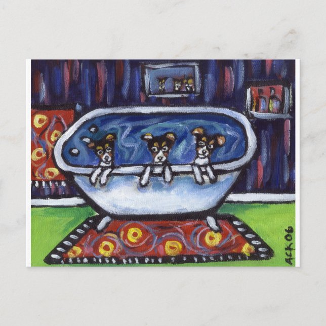 Cartão Postal Banho de Rat terrier (Frente)