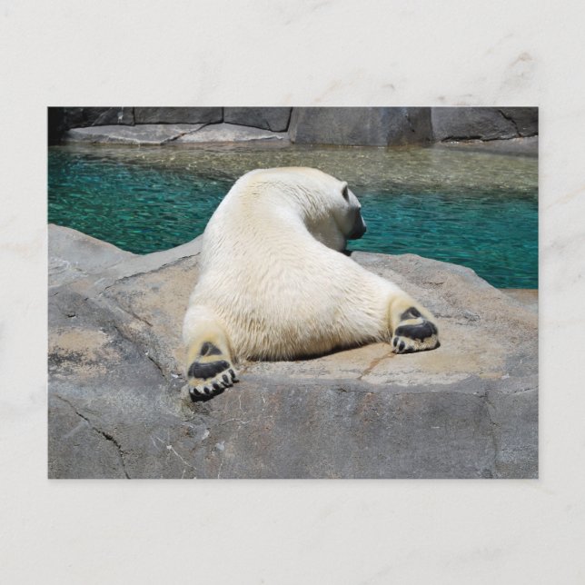 Cartão Postal Banho de sol (Frente)