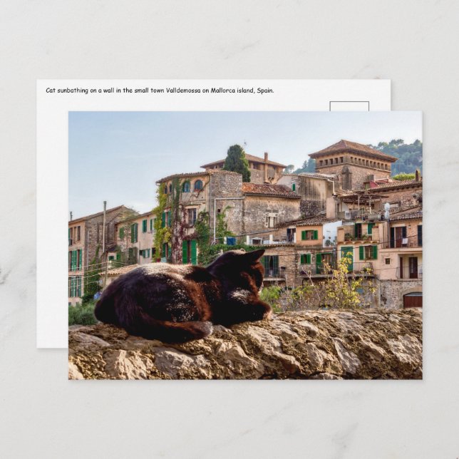 Cartão Postal Banho de sol de gato - Valldemossa, Maiorca (Frente/Verso)