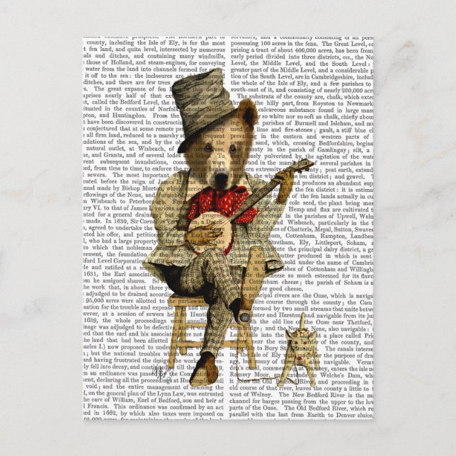 Cartão Postal Banjo Bear (Frente)
