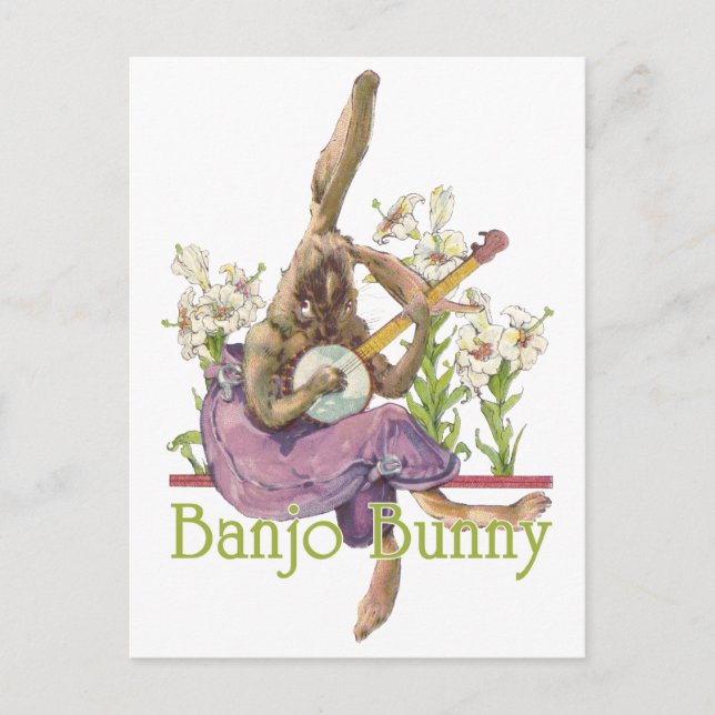 Cartão postal Banjo Bunny (Frente)