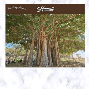 Cartão Postal Banyan Tree Queens Beach Em Honolulu Oahu Havaí