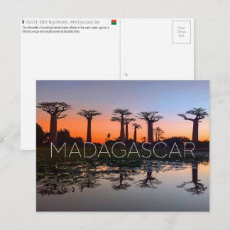 Cartão Postal Baobab Alley, Madagascar Travel Postcard