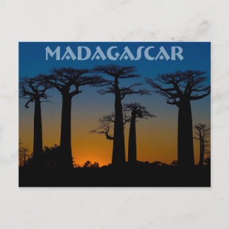 Cartão Postal Baobabs de Madagascar