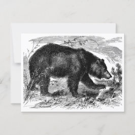 Cartão Postal Bär in der Prärie