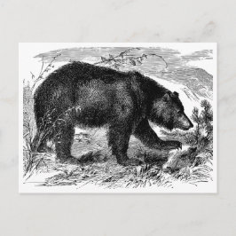 Cartão Postal Bär in der Prärie