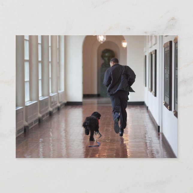 Cartão Postal Barack e Bo Obama (Frente)