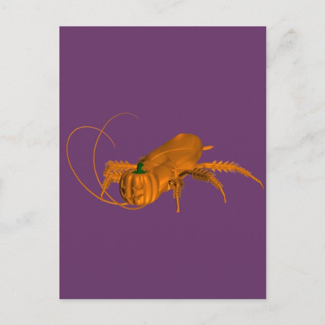 Cartão Postal Barata Laranja (Frente)