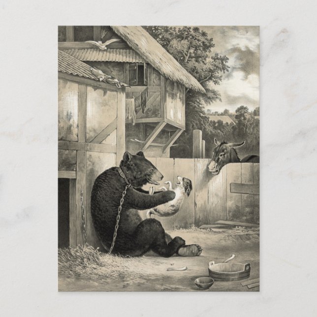 Cartão Postal Barba - Urso, Cachorro e Cachorro (Frente)