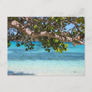 Cartão Postal Barbados Beach Scenery
