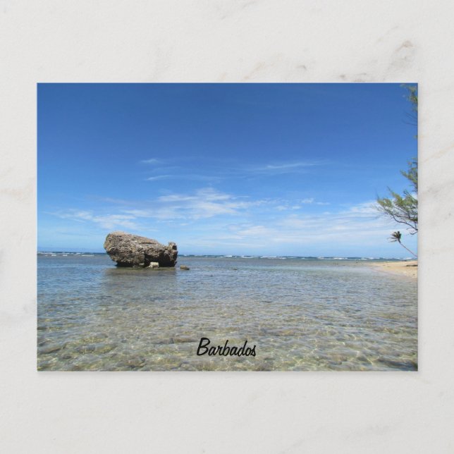 Cartão Postal Barbados - Costa Leste 1 (Frente)