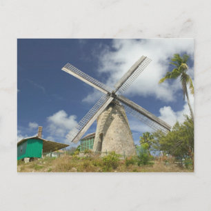 Cartão Postal BARBADOS, Costa Nordeste, Morgan Lewis.