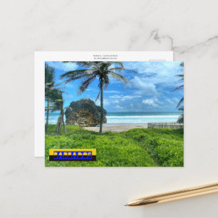 Cartão Postal Barbados - Praia da lavagem de gado