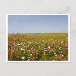 Cartão Postal Barbate, Andaluzia (Espanha)