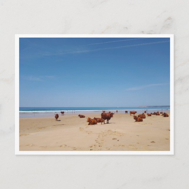 Cartão Postal Barbate, Andaluzia (Espanha) (Frente)