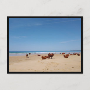 Cartão Postal Barbate, Andaluzia (Espanha)