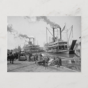 Cartão Postal Barcaças a vapor em Vicksburg, 1910