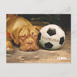 Cartão Postal Barcelona's soccer fanatic dog