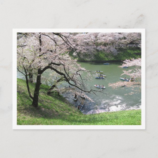 Cartão Postal Barco primavera: Chidorigafuchi, Tóquio (Frente)