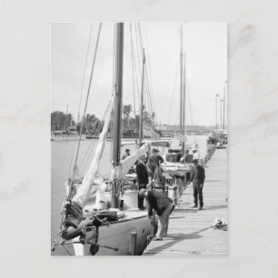 Cartão Postal Barcos à vela Miami, 1905
