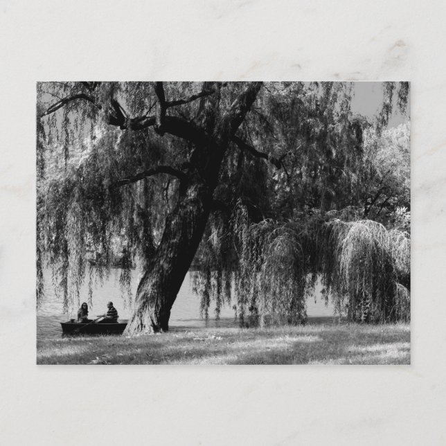 Cartão Postal Barcos-Rowboat do Central Park (Frente)