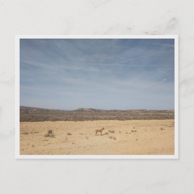 Cartão Postal Bardenas Reales (Espanha) (Frente)