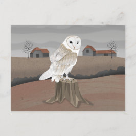 Cartão Postal Barn Owl