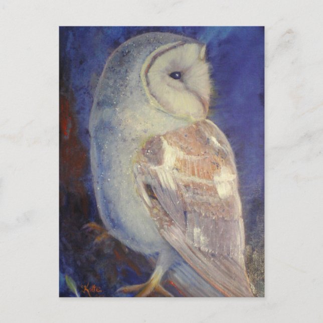Cartão Postal Barn Owl (Frente)