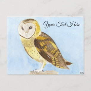 Cartão Postal Barn Owl