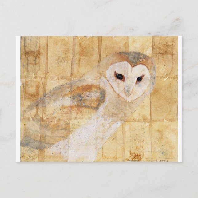 Cartão Postal Barn Owl (Frente)