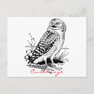 Cartão Postal Barn Owl Thunder_Cove
