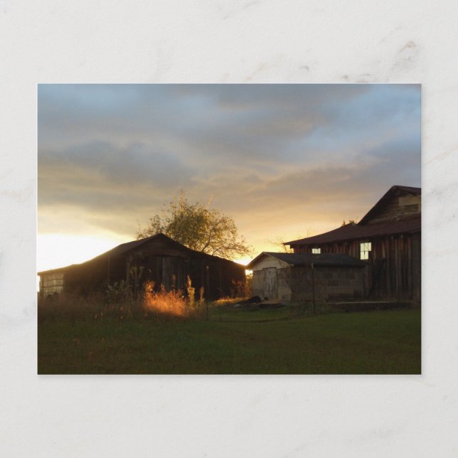 Cartão Postal Barns no Sol da Tarde (Frente)