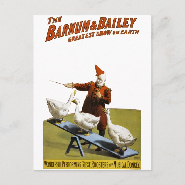 Cartão Postal Barnum e Bailey: Executando Gansos (Frente)