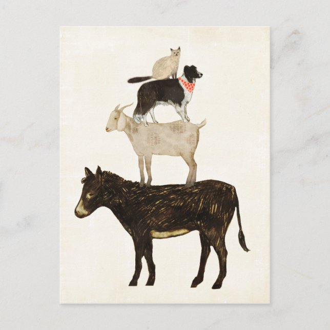 Cartão Postal Barnyard Buds - Donkey, Goat, Dog, Cat (Frente)