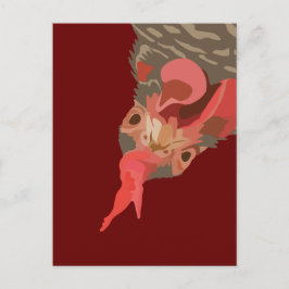 Cartão Postal Barred-Rock Hen