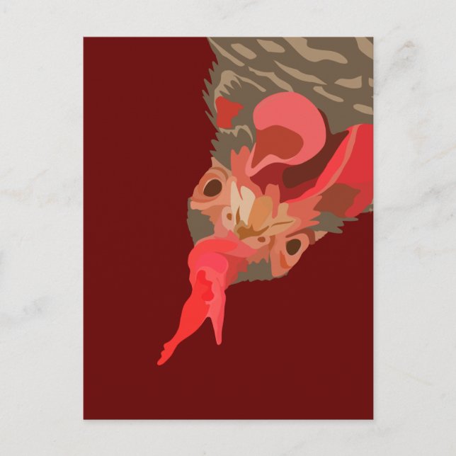 Cartão Postal Barred-Rock Hen (Frente)