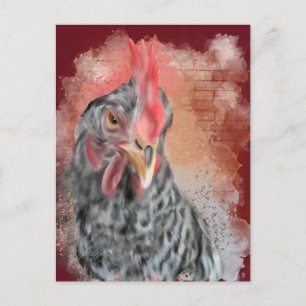 Cartão Postal Barred Rock Hen