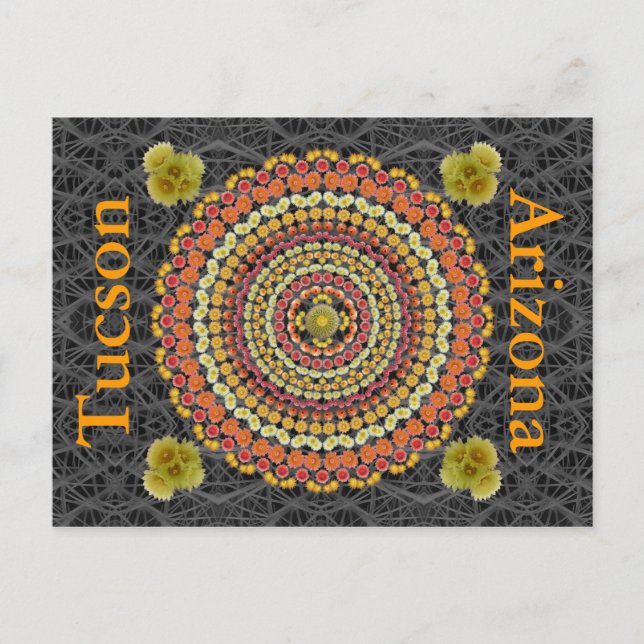 Cartão Postal Barrel Cactus Mandala 2 como Cartão-Postal (Frente)