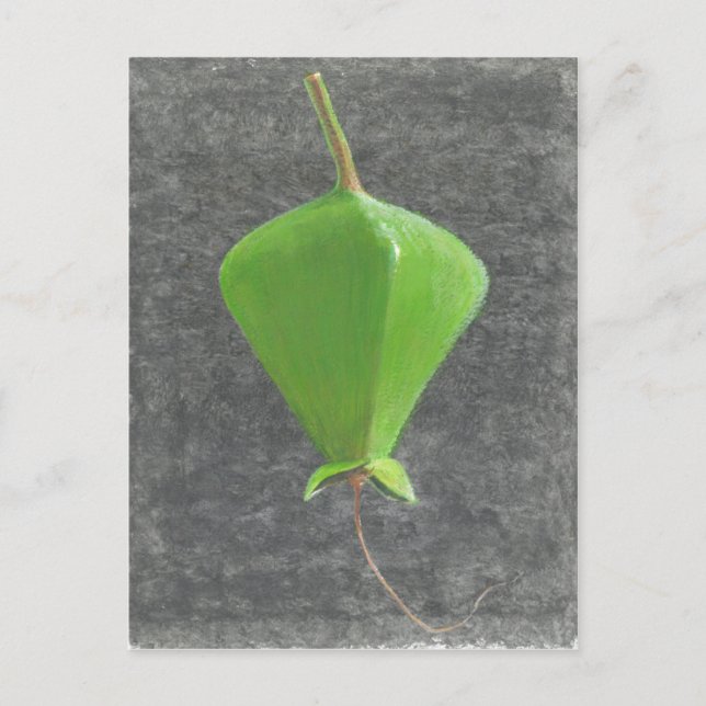 Cartão Postal Barringtonia Acutangula (Frente)