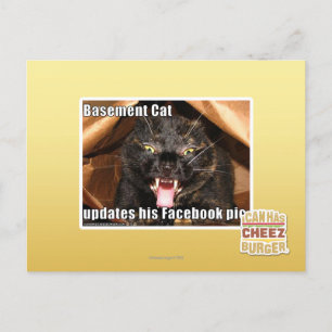Cartão Postal Basement Cat