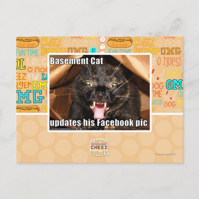 Cartão Postal Basement Cat (Frente)