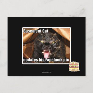 Cartão Postal Basement Cat