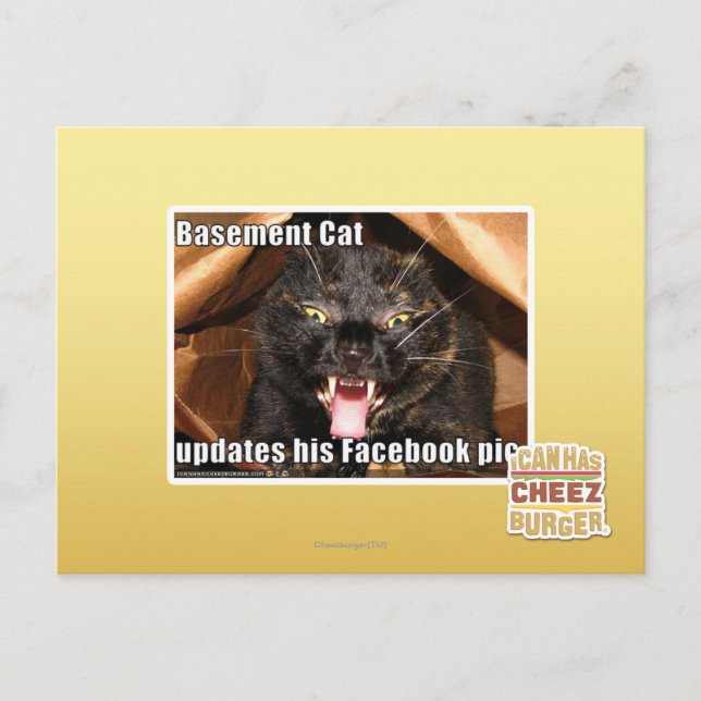 Cartão Postal Basement Cat (Frente)