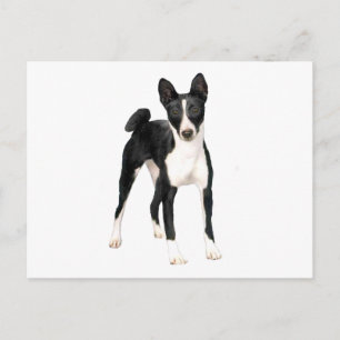 Cartão Postal Basenji (B) - preto e branco