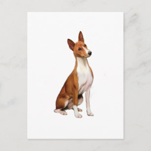 Cartão Postal Basenji (C)