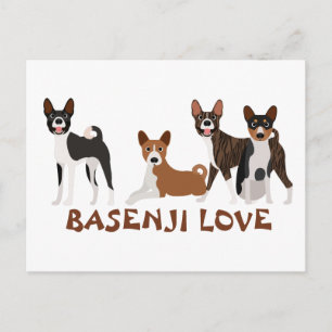 Cartão Postal Basenji Love Dog Brele Brindle Red White Tan